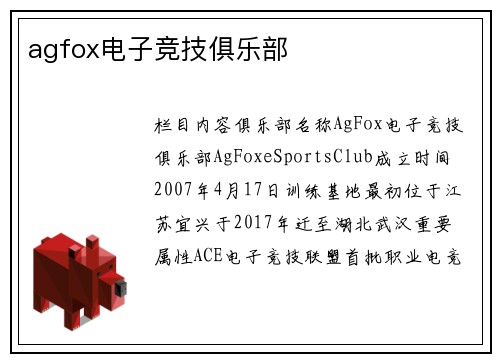 agfox电子竞技俱乐部